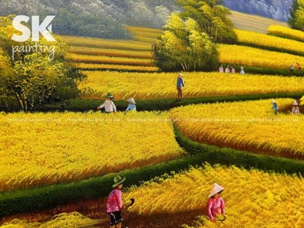 Rực Rỡ Mùa Vàng - Ảnh 3