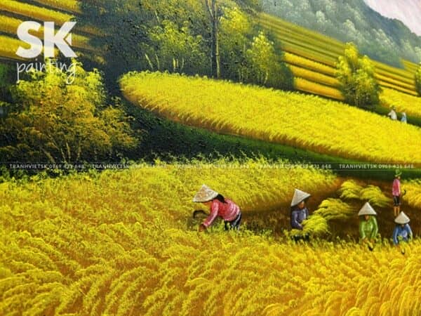 Rực Rỡ Mùa Vàng - Ảnh 2