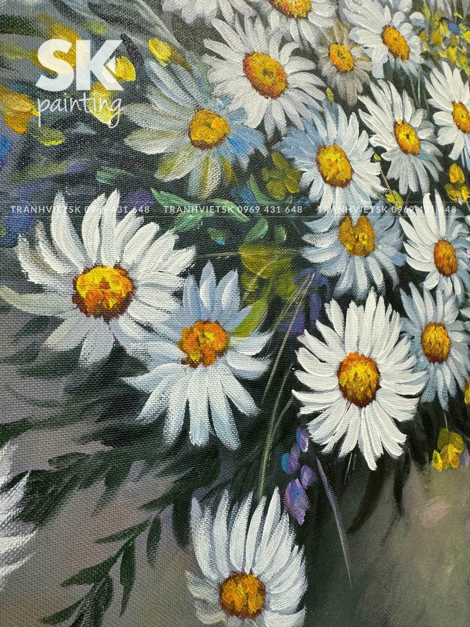 Cúc Họa Mi - 2 - Ảnh 5