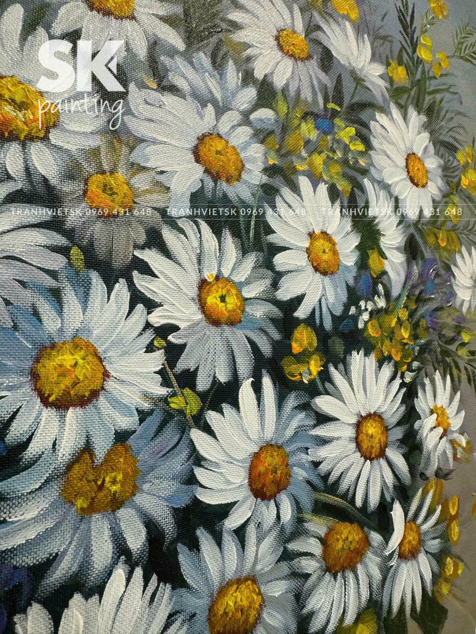 Cúc Họa Mi - 2 - Ảnh 4