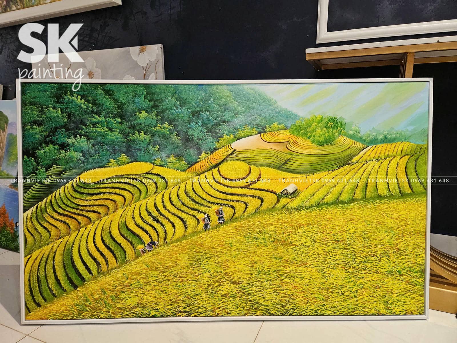 Lúa Vàng Đón Nắng - Ảnh 2