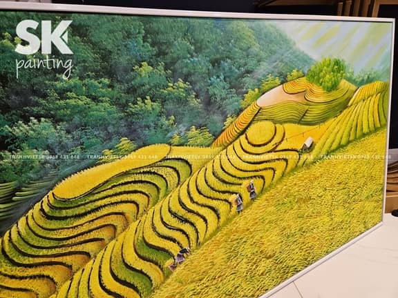 Lúa Vàng Đón Nắng - Ảnh 3