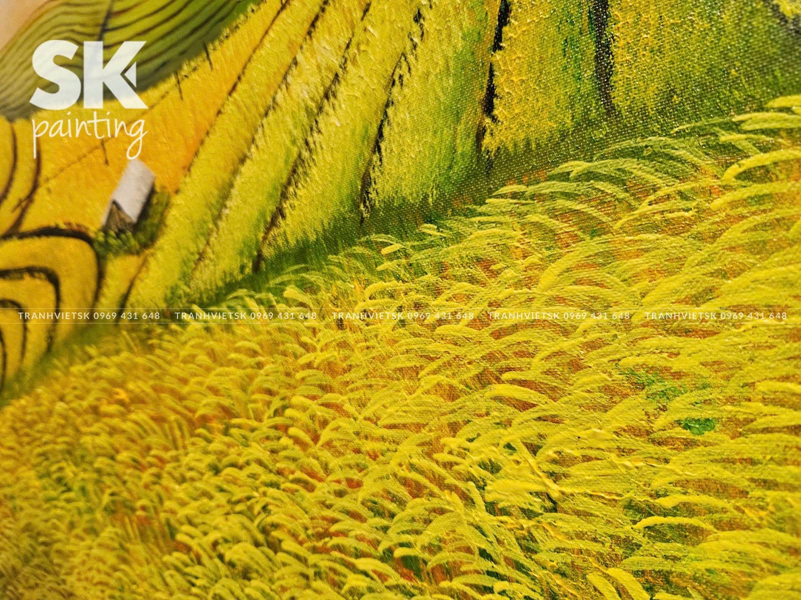 Lúa Vàng Đón Nắng - Ảnh 5