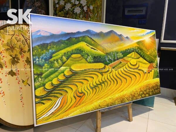 Mùa Vàng Đón Nắng - Ảnh 3