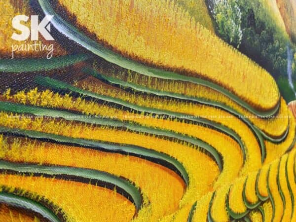 Mùa Vàng Đón Nắng - Ảnh 5
