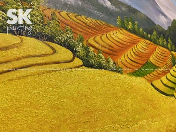 Mùa Vàng Trên Non Cao - Ảnh 4