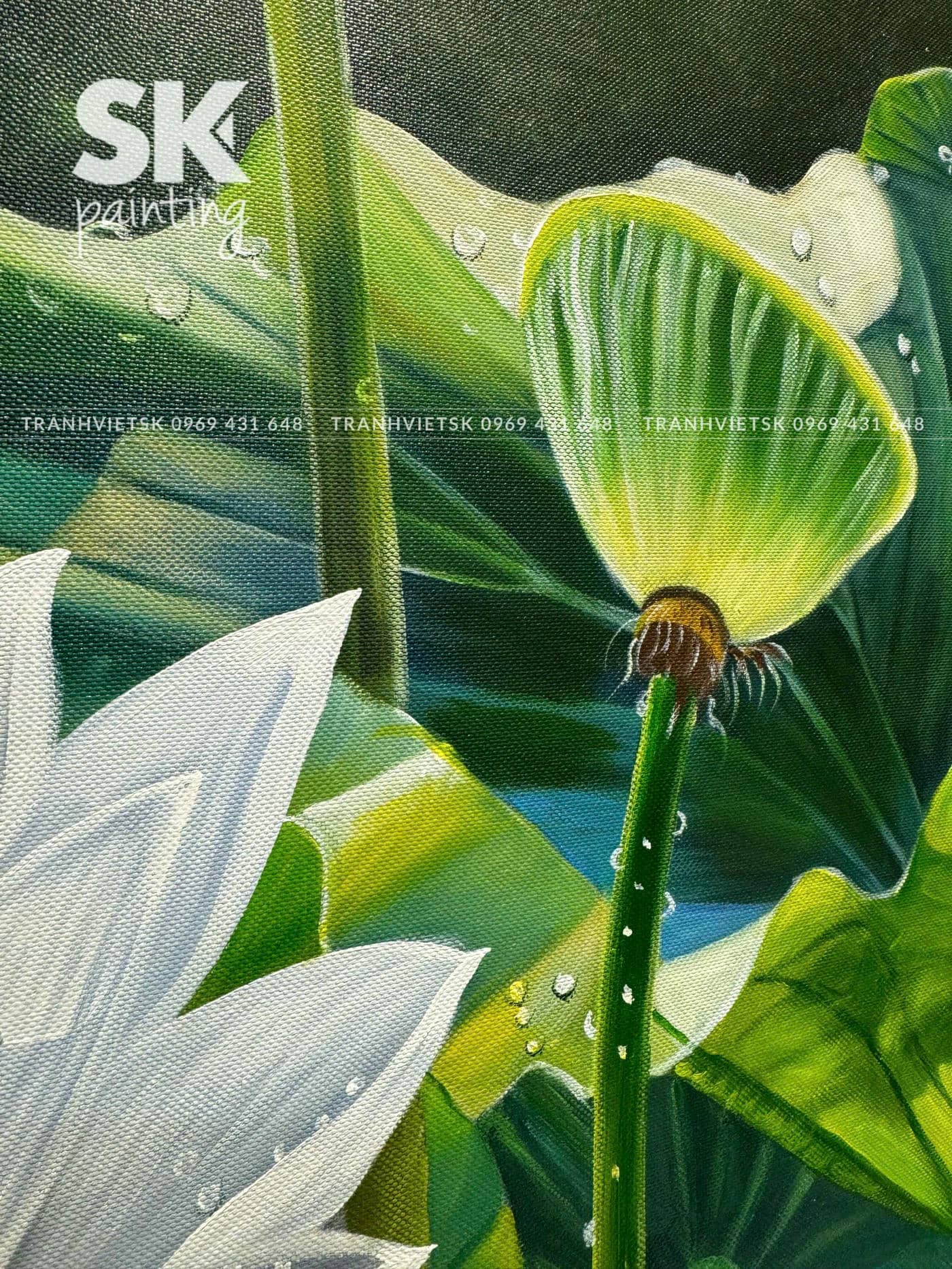 Bạch Liên An Nhiên - Ảnh 5