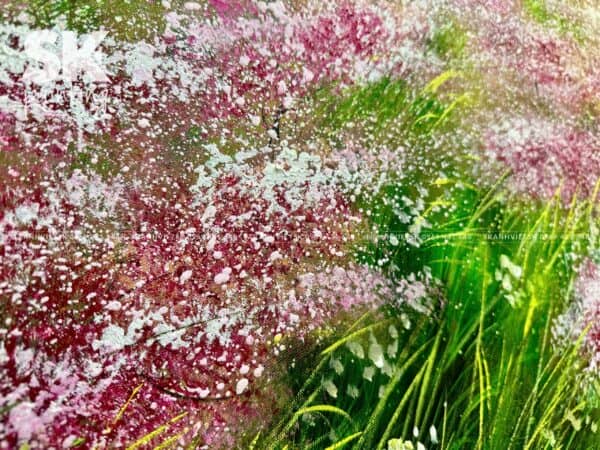 Những Nhịp Cầu Hoa - Tranh Sáng Tác Độc Quyền - Ảnh 4