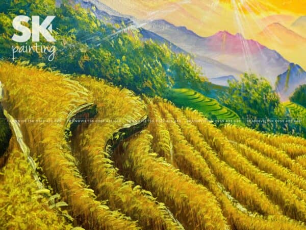 Quê Lúa Đất Việt - Ảnh 5
