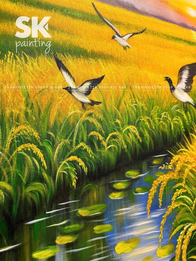 Hương Lúa Sớm - Ảnh 4