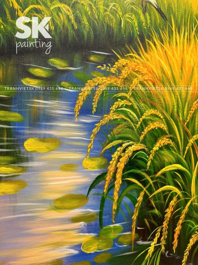 Hương Lúa Sớm - Ảnh 5