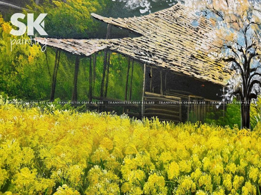 Cải Vàng Tây Bắc - Ảnh 4